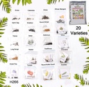 20 Varieties of Vegetable & Flower Seeds Combo (1 Pkt. / 20 Varieties)